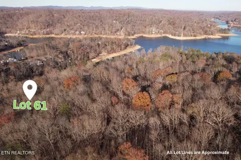 lot61 Hiwassee View Dr, Jacksboro, TN 37757