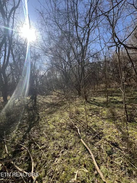 lot56 Dewine Rd, Knoxville, TN 37921