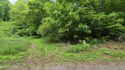 Red Ankle Rd, Sweetwater, TN 37874