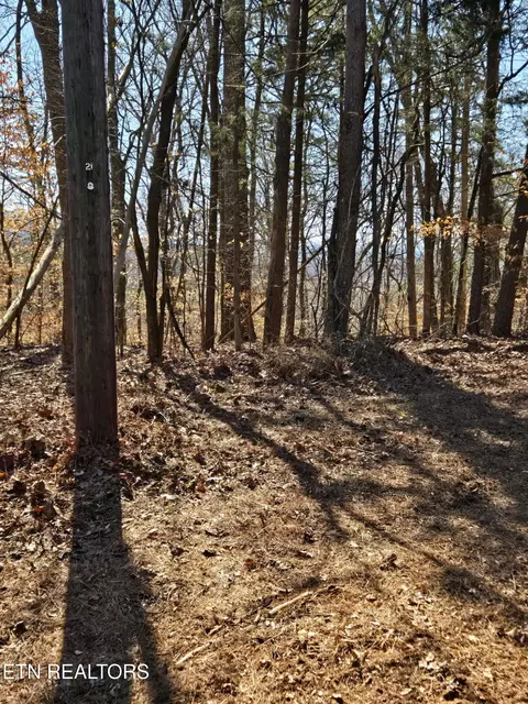 lot S 11-14 River Heights Dr, Ocoee, TN 37361