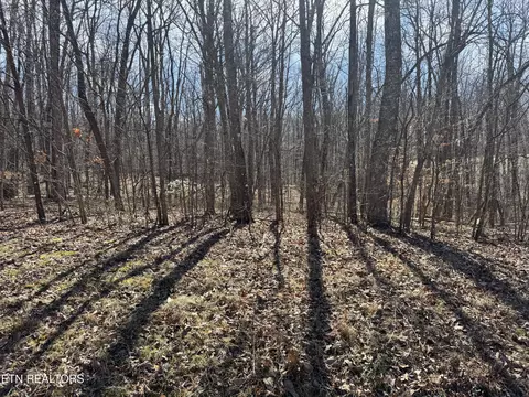 Davidson Drive, Monterey, TN 38574