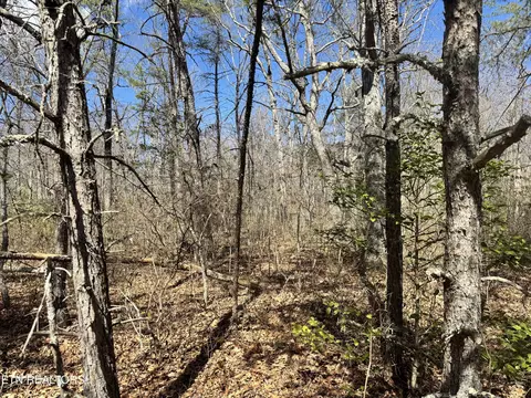 Divide Tr, Monterey, TN 38574