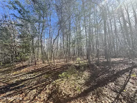N Laurel Loop, Monterey, TN 38574 photo 7