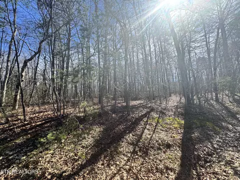 N Laurel Loop, Monterey, TN 38574 photo 6