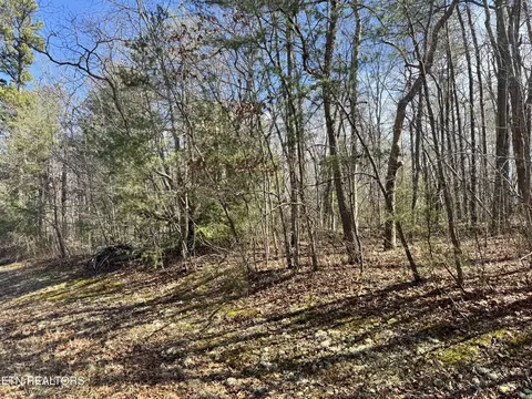 N Laurel Loop, Monterey, TN 38574 photo 4