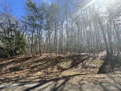 N Laurel Loop, Monterey, TN 38574 photo 2