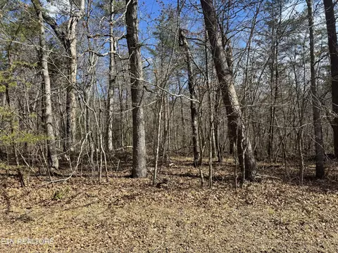Cumberland Lakes Drive, Monterey, TN 38574