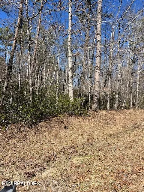 Street Place Loop, Monterey, TN 38574