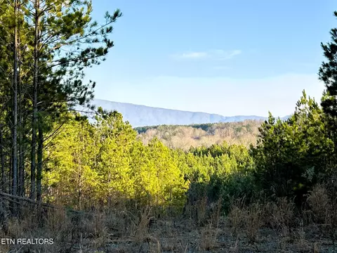 00 Freedom Way, Calhoun, TN 37309