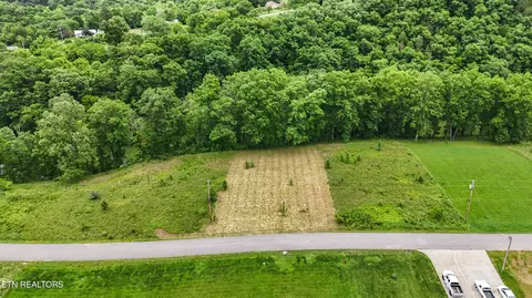 Wagon Lane, Speedwell, TN 37870