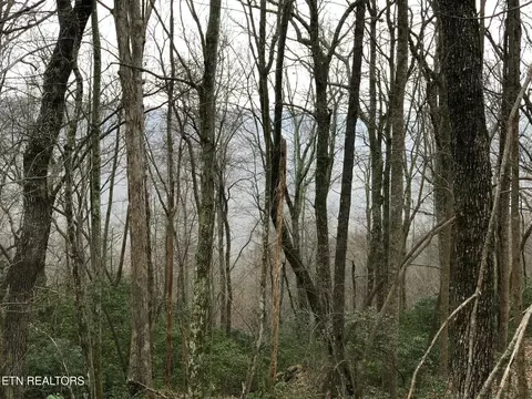 Cumberland Cove Rd, Monterey, TN 38574