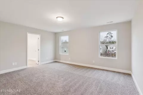 9506 Joy Denise Ln, Heiskell, TN 37754 photo 14