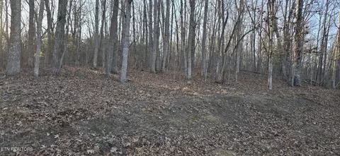 119 Pineridge Loop, Fairfield Glade, TN 38558