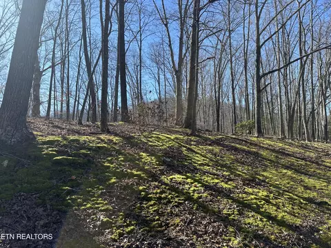 tbd Ridge Rd, Baxter, KY 40806 photo 8