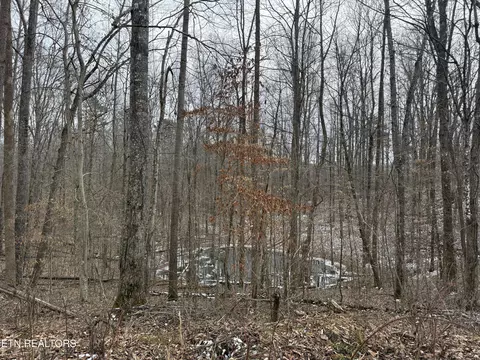 Jones Ridge Rd, Speedwell, TN 37870
