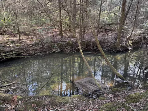 2028 Street Place Loop, Monterey, TN 38574
