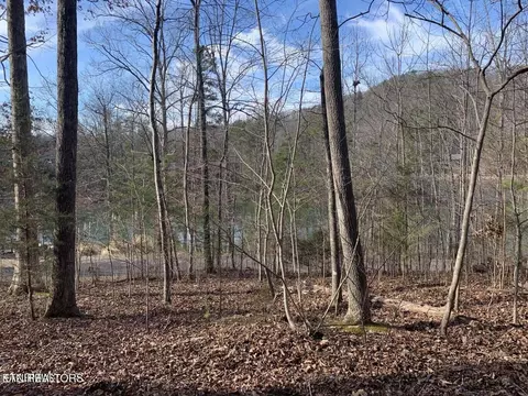lot170 Laurel Lake Circle Cir, Madisonville, TN 37354