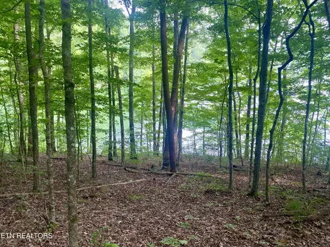 lot Apt 130 Hickory Pointe Ln, Maynardville, TN 37807