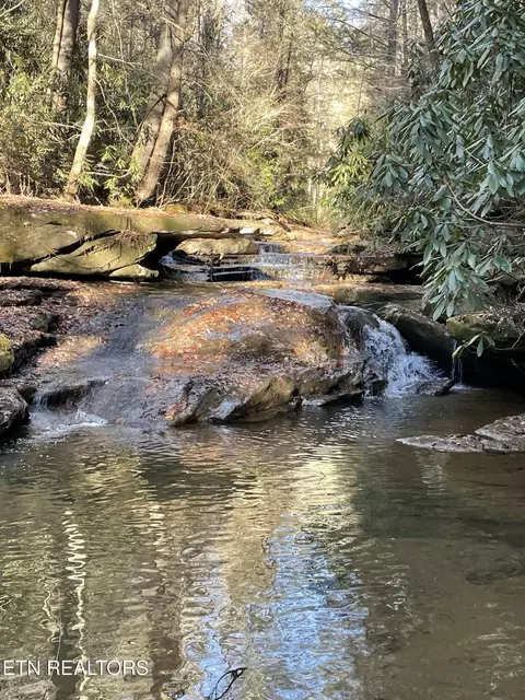 Oakdale Piney Rd, Oakdale, TN 37829