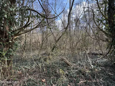 918 Mccubbins Rd, Strawberry Plains, TN 37871