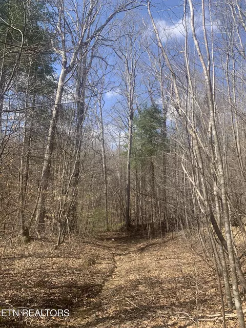 100 C E Todd Rd, Sunbright, TN 37872 photo 9