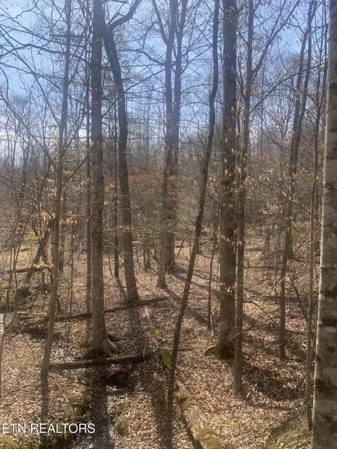 100 C E Todd Rd, Sunbright, TN 37872 photo 10