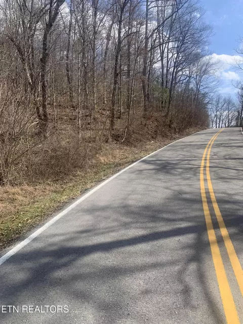 100 C E Todd Rd, Sunbright, TN 37872 photo 2