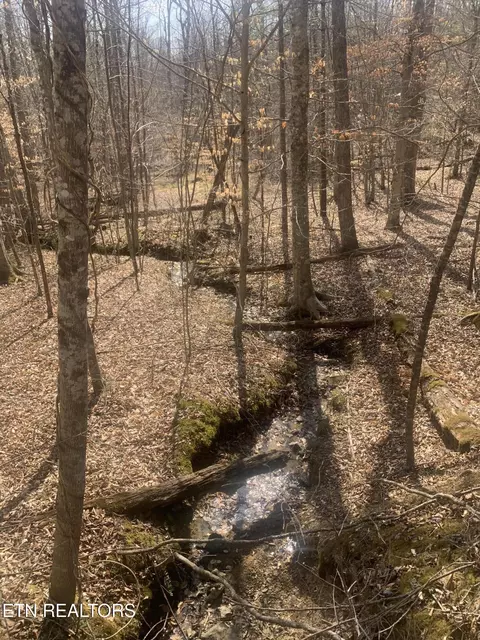 100 C E Todd Rd, Sunbright, TN 37872 photo 16