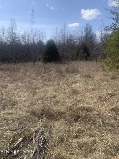 100 C E Todd Rd, Sunbright, TN 37872 photo 8