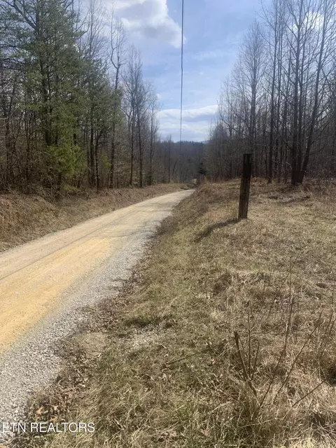 100 C E Todd Rd, Sunbright, TN 37872 photo 7