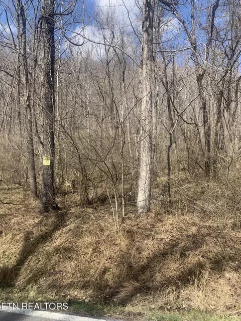 100 C E Todd Rd, Sunbright, TN 37872 photo 3