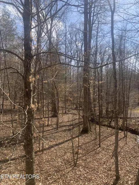 100 C E Todd Rd, Sunbright, TN 37872 photo 11