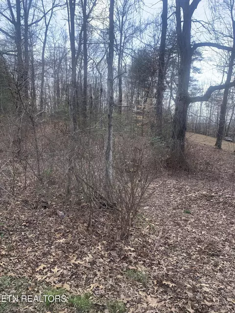 100 C E Todd Rd, Sunbright, TN 37872 photo 13