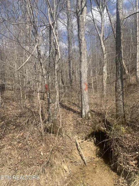 100 C E Todd Rd, Sunbright, TN 37872 photo 6
