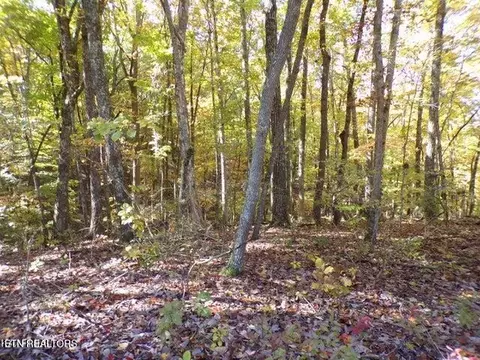 163 Manchester Rd, Crossville, TN 38558