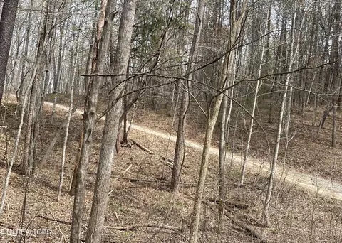 540 New Providence Road, Tellico Plains, TN 37385