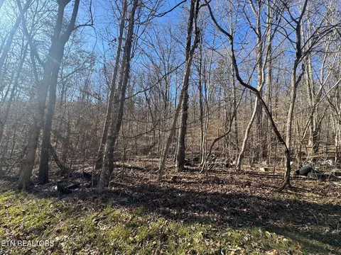 Wolfenbarger Lane, Luttrell, TN 37779 photo 2