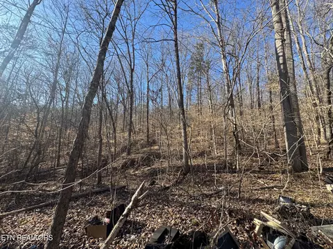 Wolfenbarger Lane, Luttrell, TN 37779