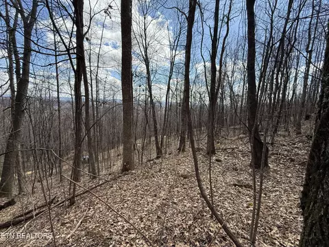 tbd Mountain Springs Rd, Rose Hill, VA 24281