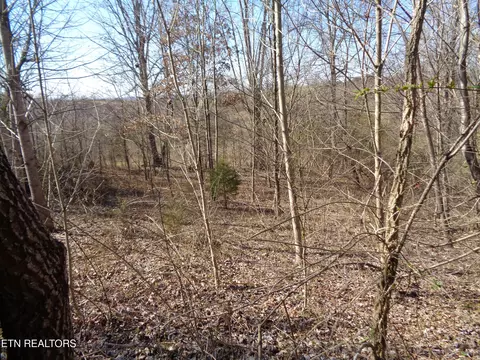 0 Holston River Dr, Rutledge, TN 37861