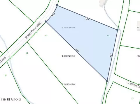 Street Place Loop, Monterey, TN 38574