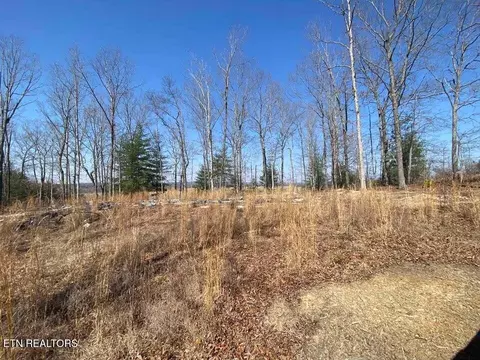 147 Apple Valley Rd, Lancing, TN 37770 photo 30