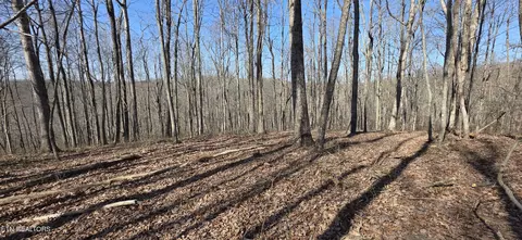 Oak Place, Monterey, TN 38574