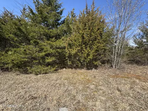 lot155 Wedge Way, Tazewell, TN 37879