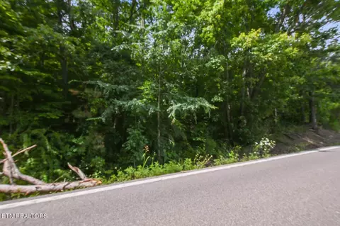 Highway 90, Duff, TN 37729 photo 10