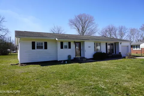 313 Rich Rd, Newport, TN 37821