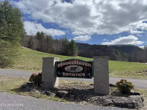 Cougar Tr, Del Rio, TN 37727