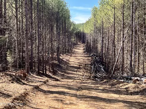 lot18 Sam Davis Rd, Decatur, TN 37322