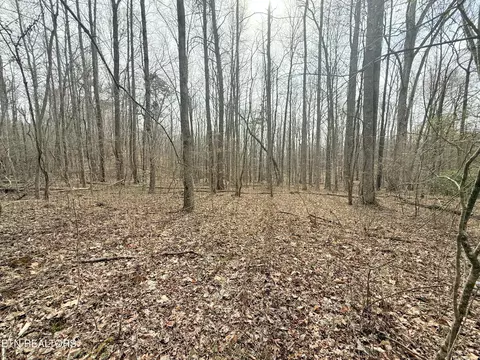 Bazel Road, Harriman, TN 37748