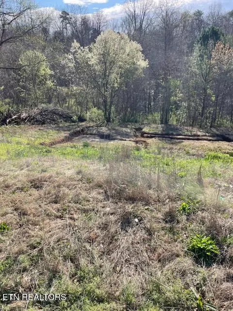 6912 Lake Bluff Ct, Knoxville, TN 37920